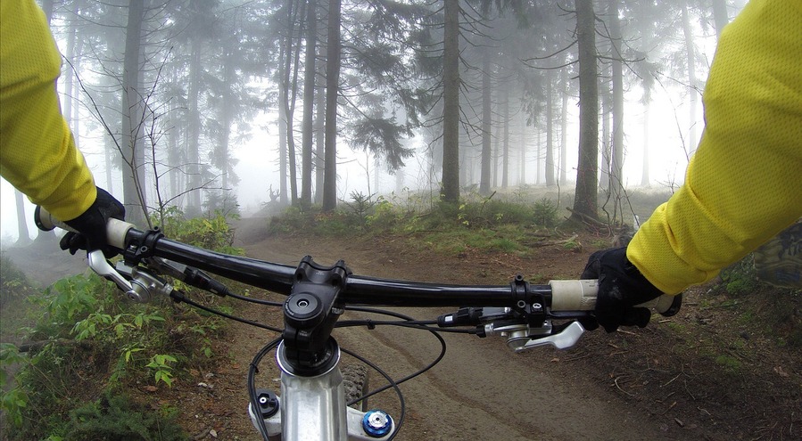 Mountainbike i dimmig skog